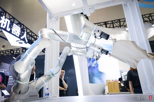 共商人工智能未来 世博展览馆再掀AI热潮，聚焦人工智能基础软件开发